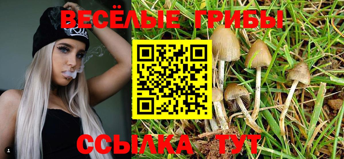 Галлюциногенные грибы прущие грибы  что такое наркотик  Лыткарино  Вход с VPN  Галлюциногенные грибы GOLDEN TEACHER 